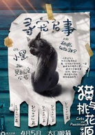 黑猫