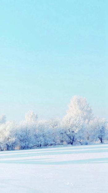 北海道 日本北海道雪景电脑壁纸 高清桌面壁纸 Cct52